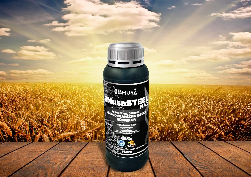 Bmusa Steel Max - 1 lt