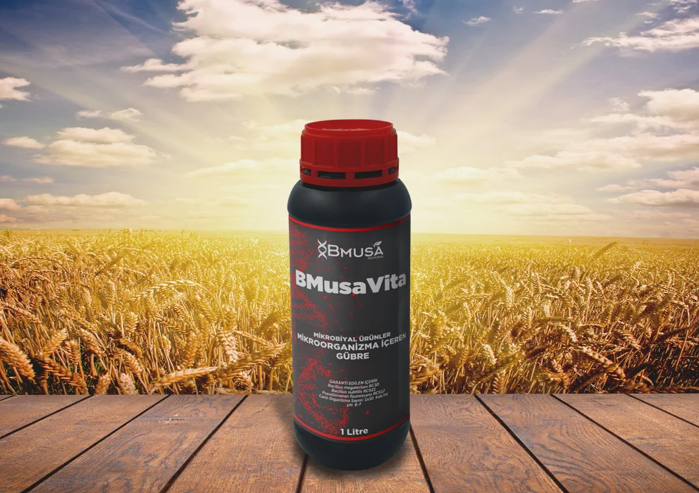 Bmusa Vita - 1 lt