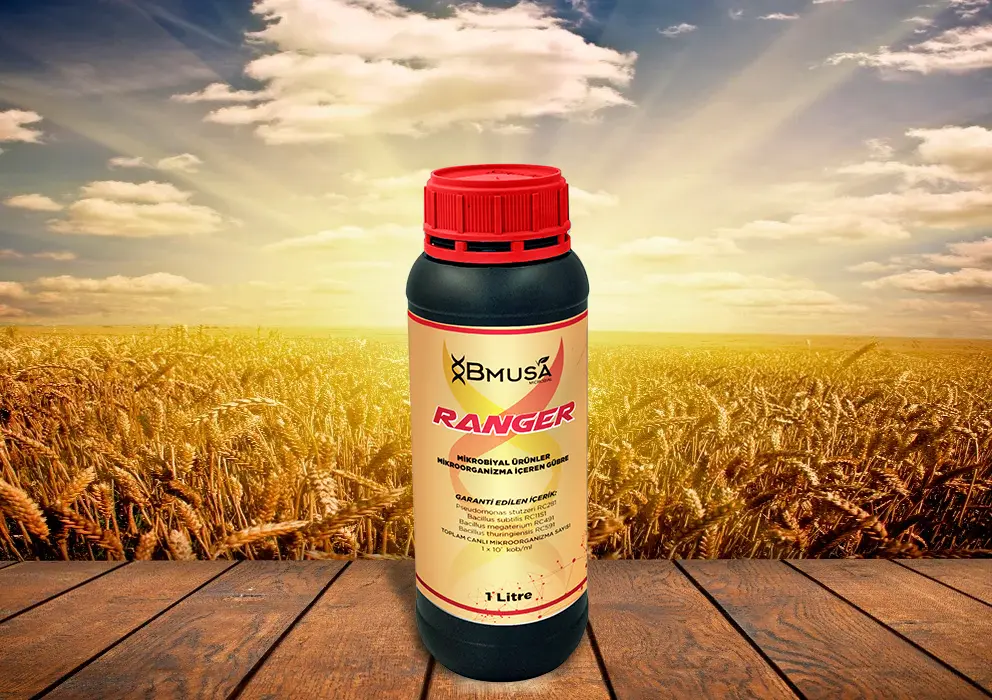 Bmusa Ranger - 1 lt